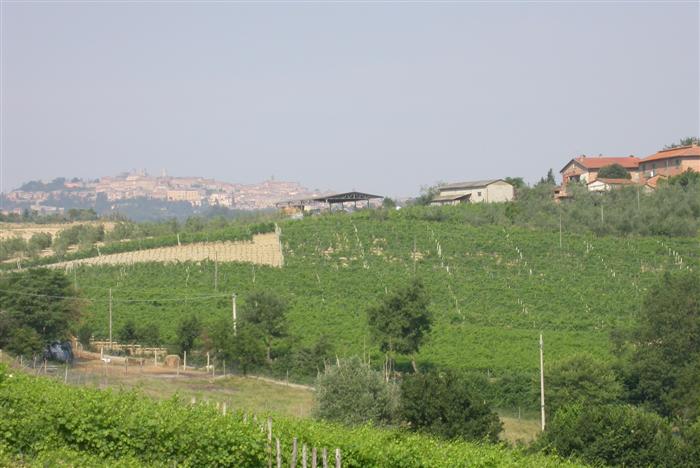 L'Affronto Rosso Toscano IGT 2021 - Le Berne, 0.75l