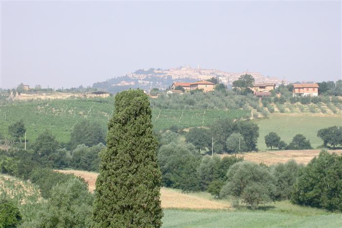 3+3 vína z Montepulciana - Le Berne