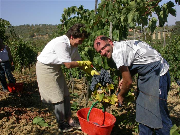 3+3 vína z Montepulciana - Le Berne