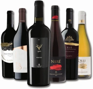 Ochutnej jižní Itálii - degustace 6 lahví