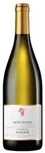 Moscato d' Asti DOCG 'Canelli' 2023 - Coppo, 0,75l
