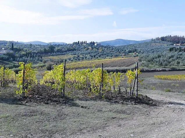 Barco Reale di Carmignano DOC 2023 - Fattoria Ambra, 0.75l